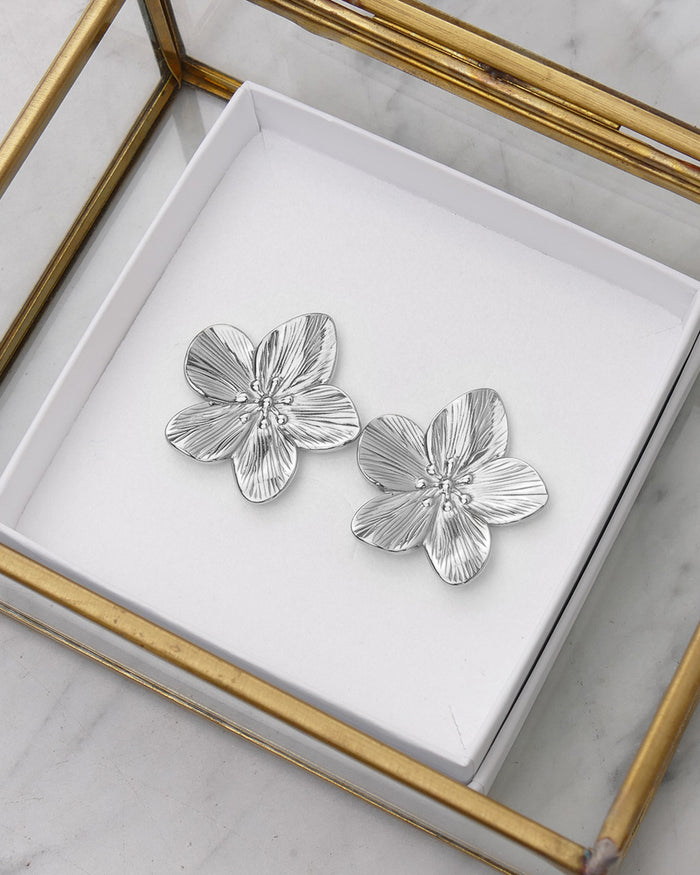 Boucles d'oreilles ALISIER - Argenté