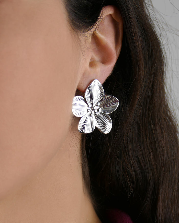 Boucles d'oreilles ALISIER - Argenté