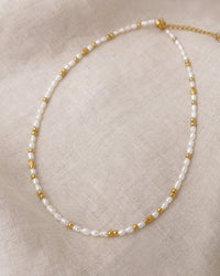 Collier Choker IGUA - Blanc Doré