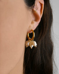 Boucles d'oreilles RENATA