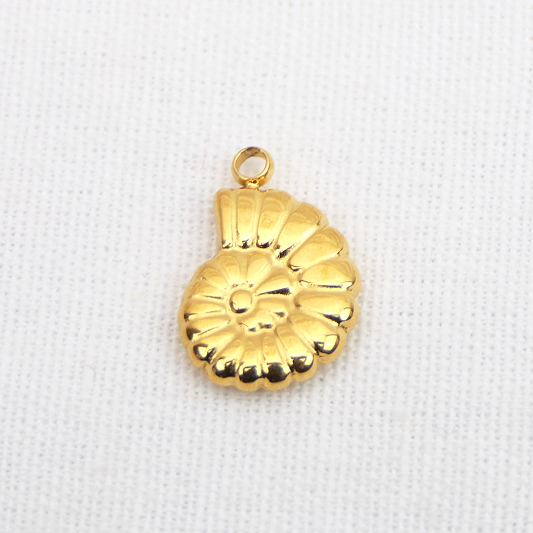 MINI FOSSILE